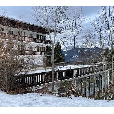 Studio Ski * Combloux