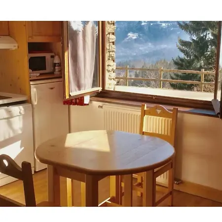 Studio Ski Appartement