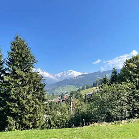Studio Ski Appartement